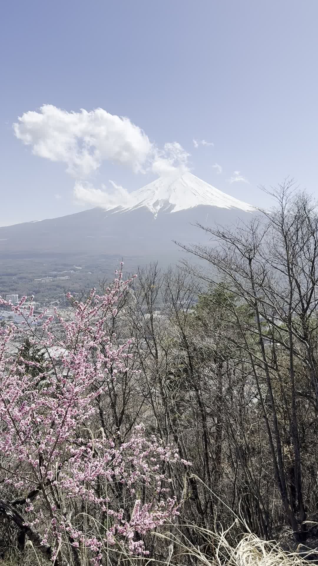 Mt. Fuji Panoramic Ropeway