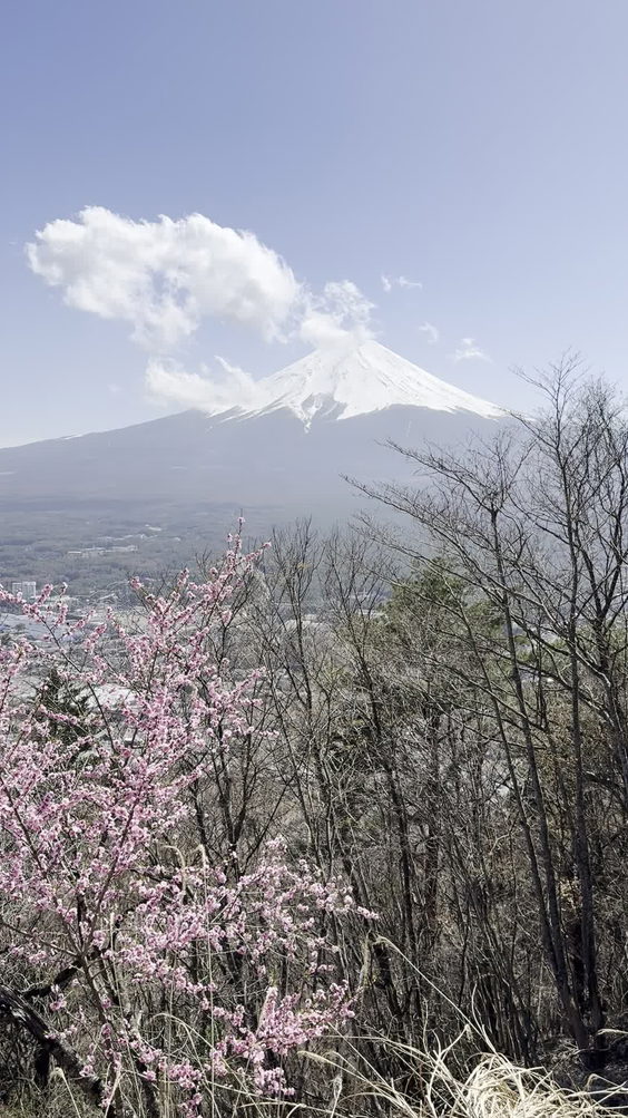 Mt. Fuji Panoramic Ropeway