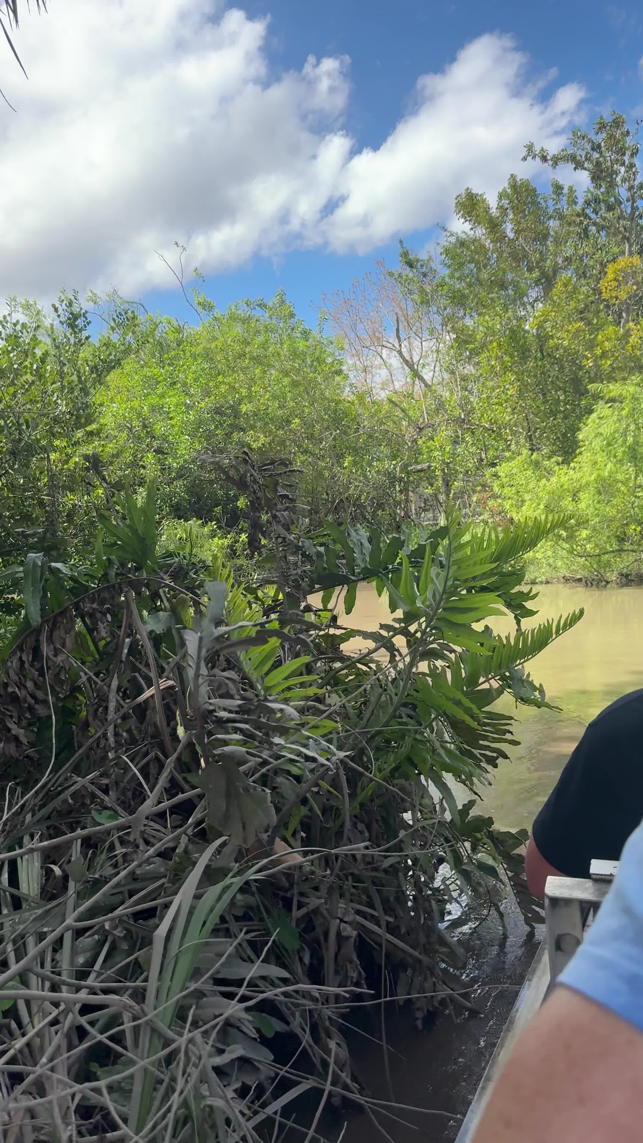 Video review of Bird Road & 117 Ave