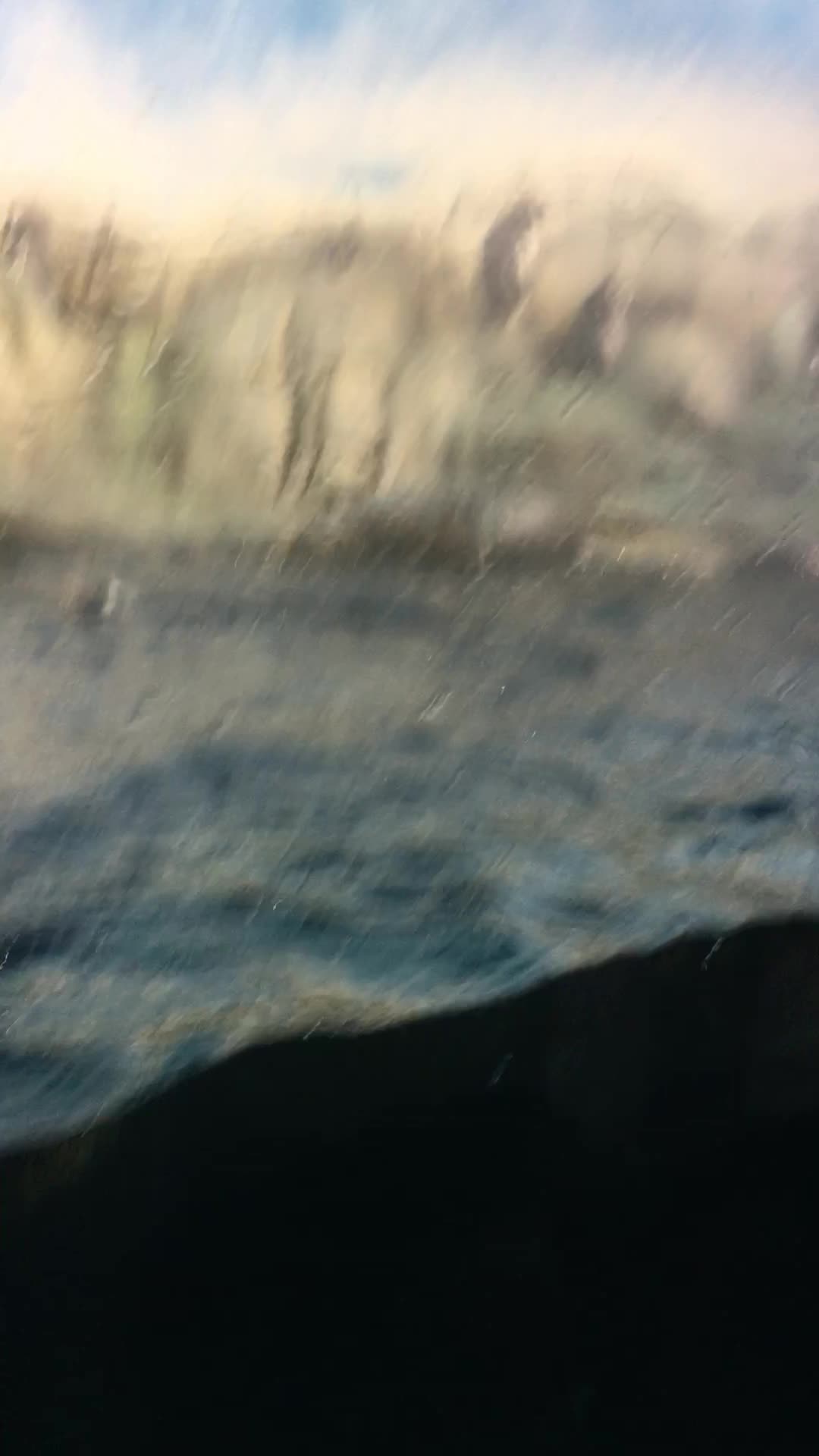 Video review of Indianapolis Zoo
