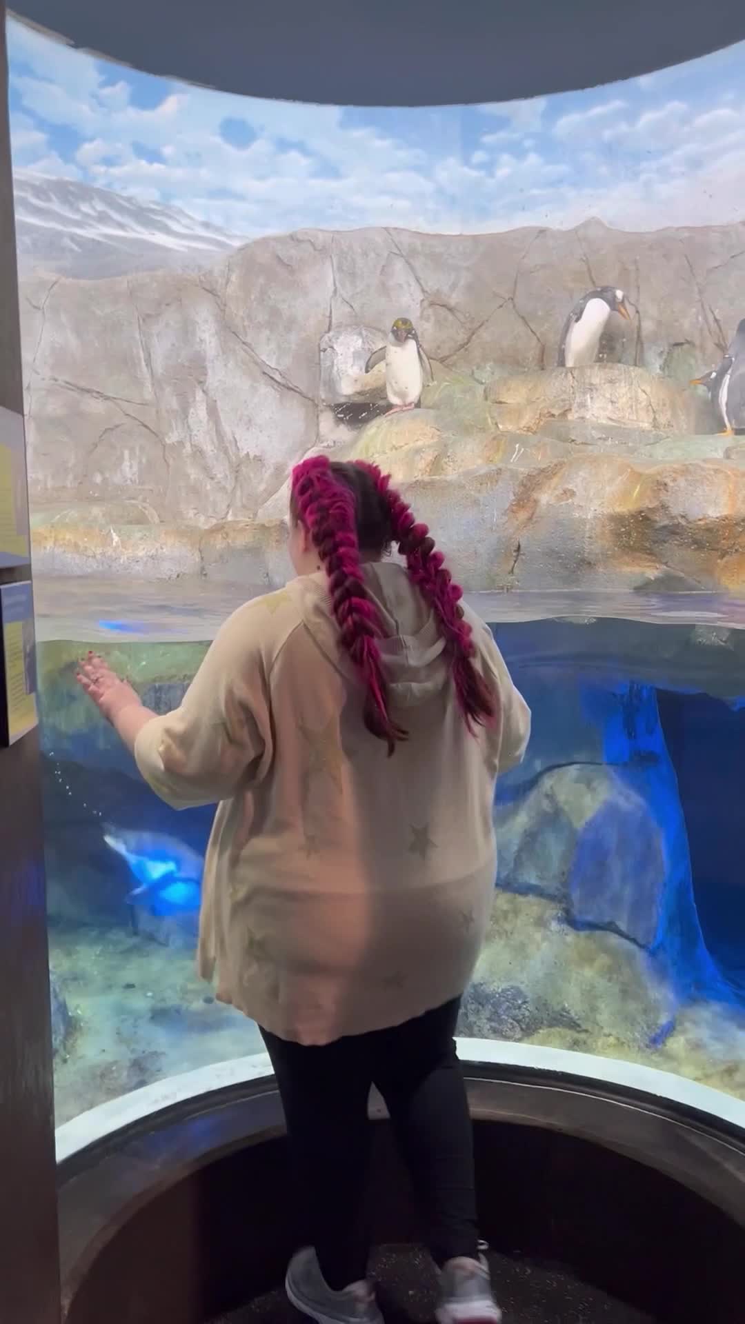 Tennessee Aquarium 