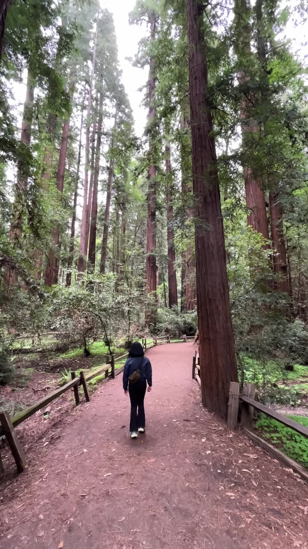 Roaring Camp Railroads
