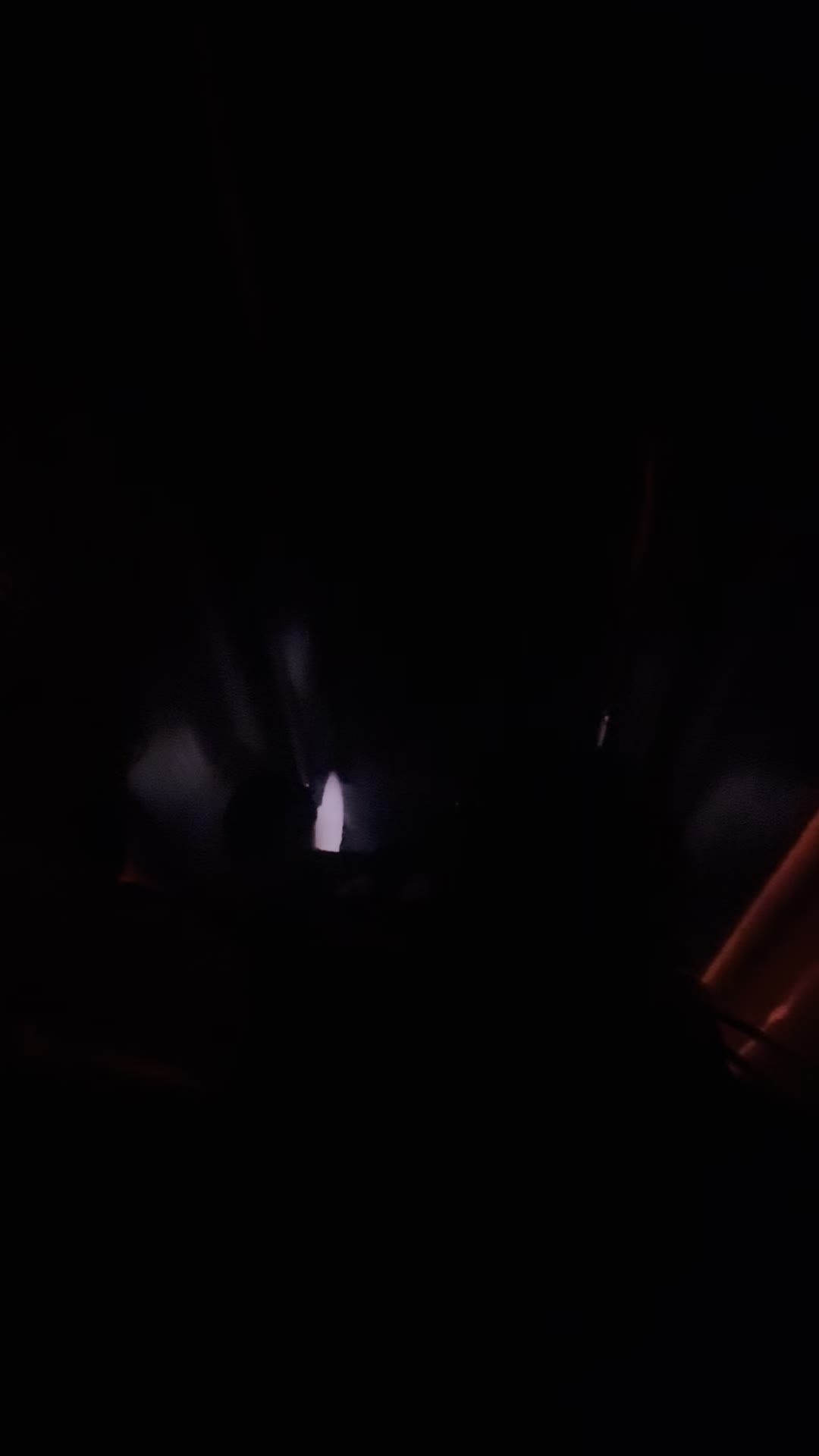 Video review of Disneyland - Bengal Barbecue