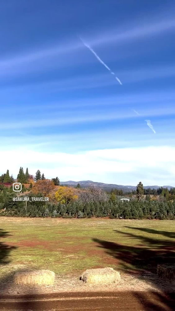 Boa Vista Orchards