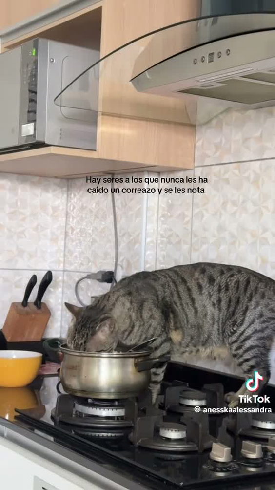 Dolce & Salato