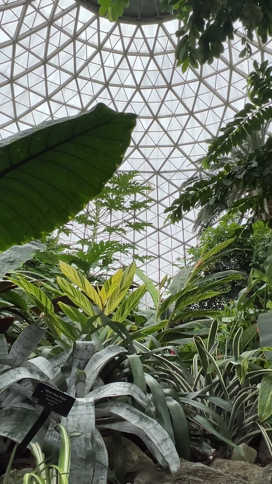 Mitchell Park Horticultural Conservatory (The Domes)