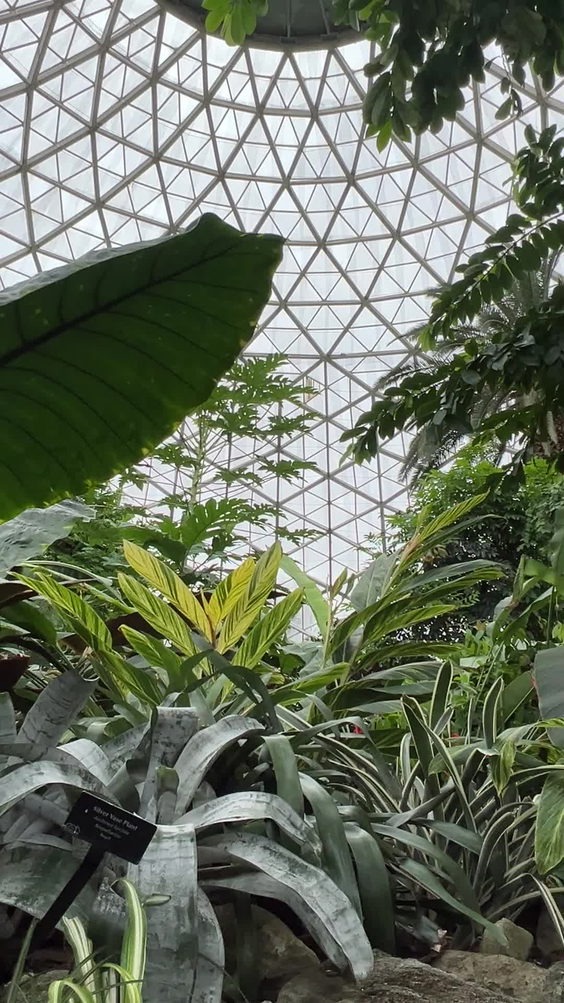 Mitchell Park Horticultural Conservatory (The Domes)