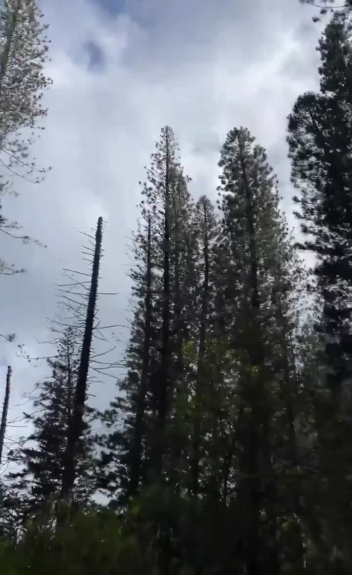Waahila Ridge State Recreation Area