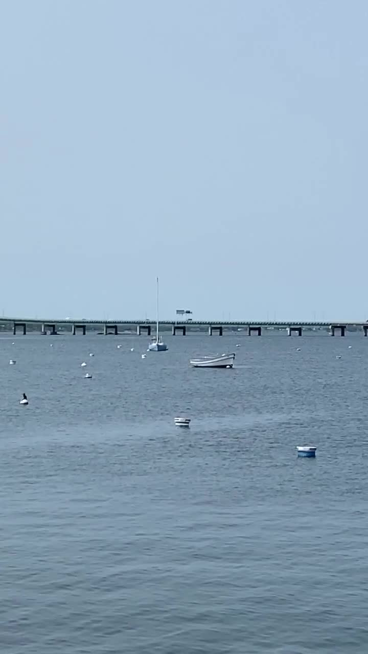 Newport Harbor Island Resort