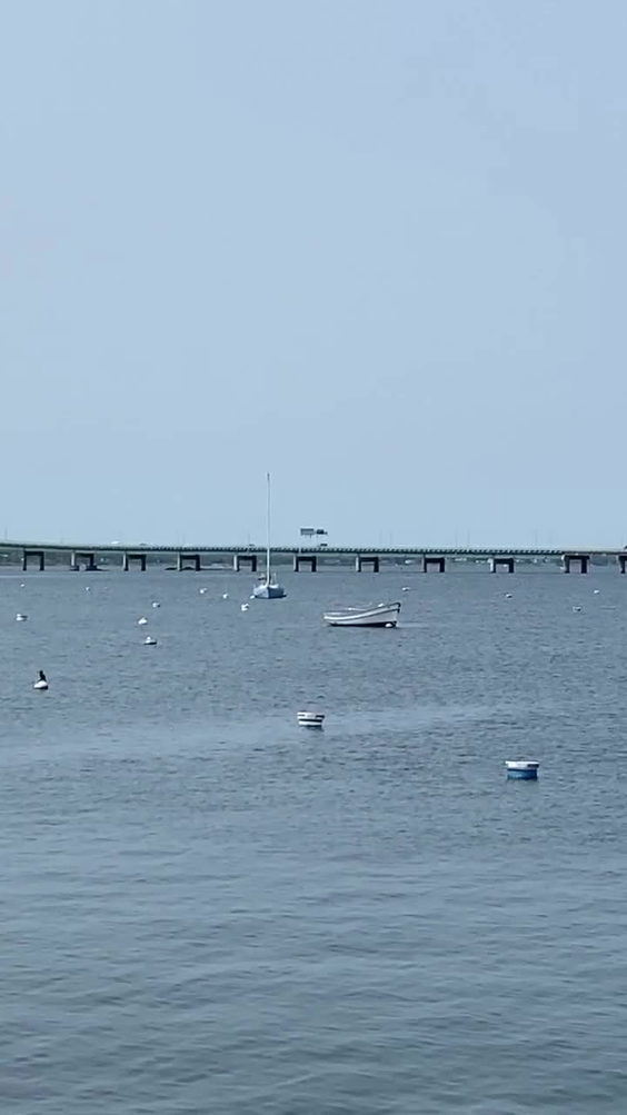 Newport Harbor Island Resort