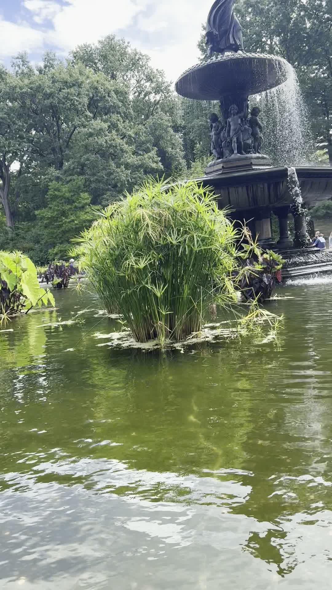 Video review of Bethesda Fountain
