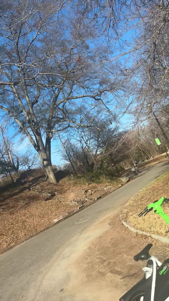 Piedmont Park Conservancy