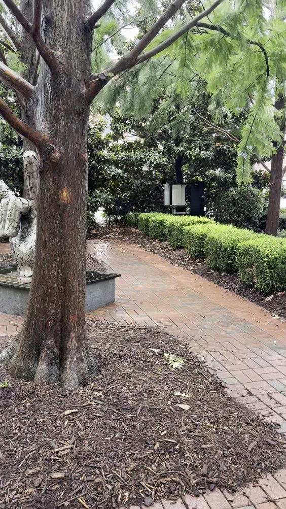 Morgan Square