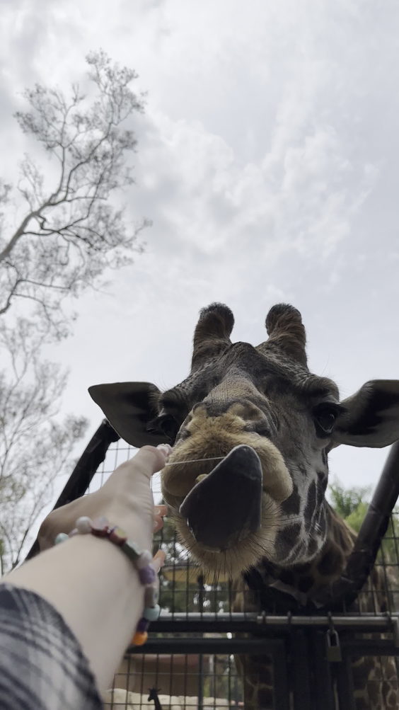 San Diego Zoo
