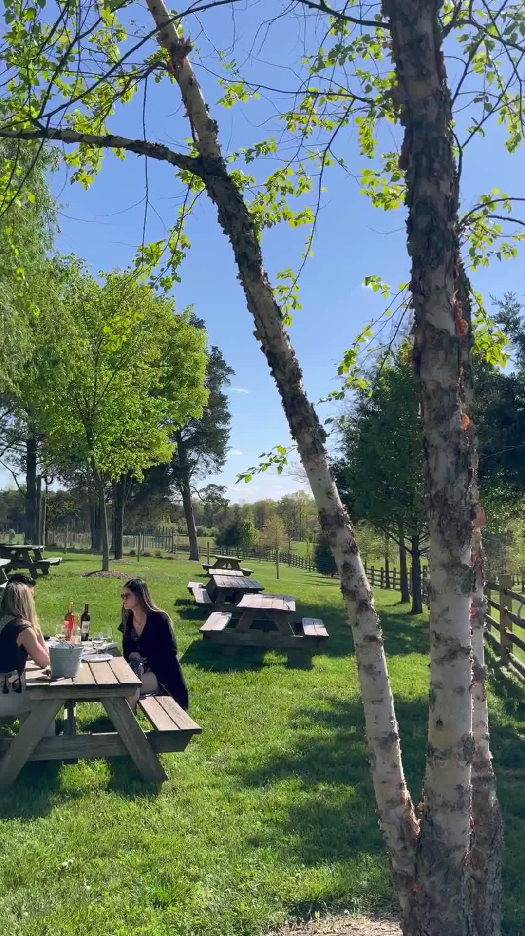 Video review of The Winery at Bull Run