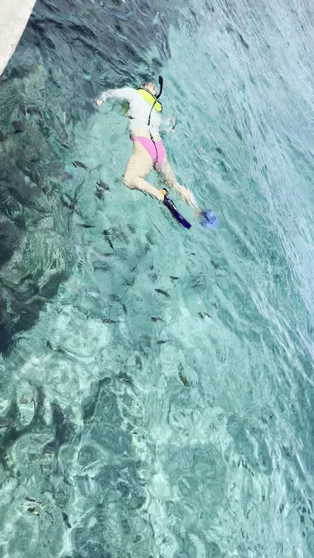 Video review of Coral Princess Hotel & Dive Resort