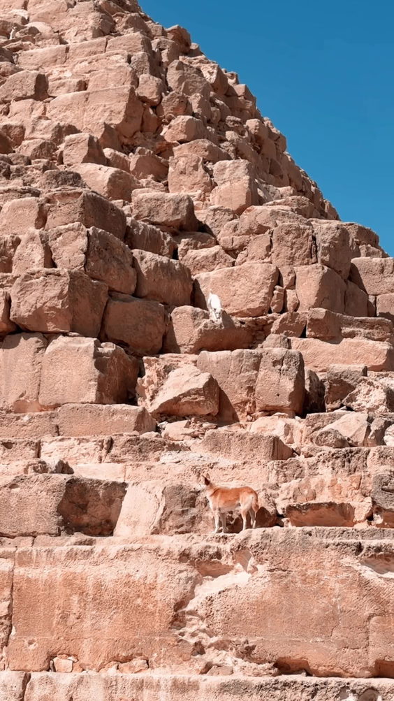 Pyramids of Giza