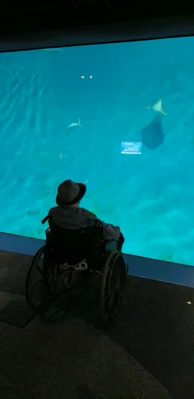 Brookfield Zoo