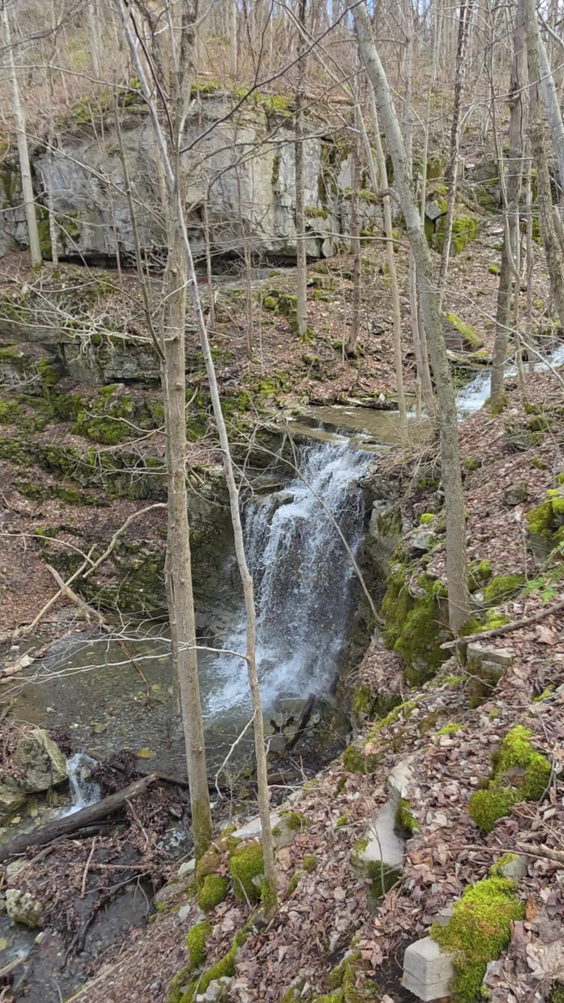 Three Falls Woods