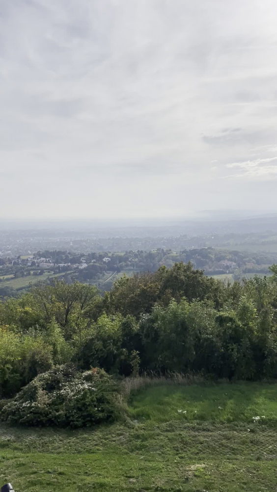 Kahlenbergplatzl