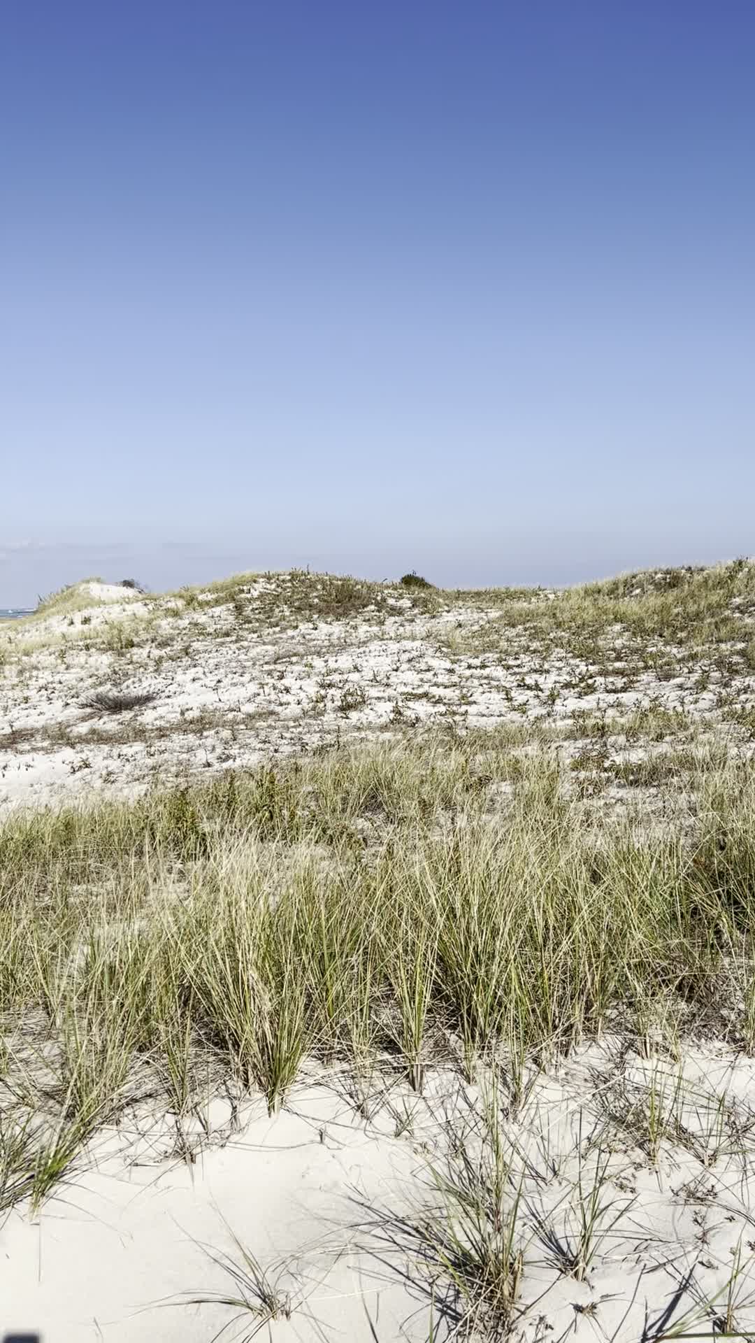 Island Beach State Park