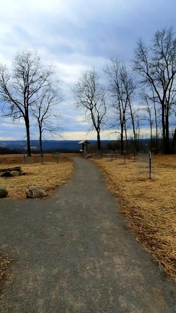 Sims-Jennings Preserve at Cayuga Cliffs