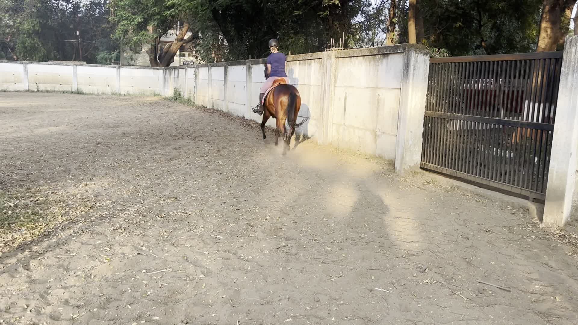 Mounted Police Training Grounds
