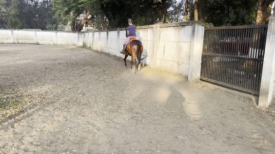 Mounted Police Training Grounds