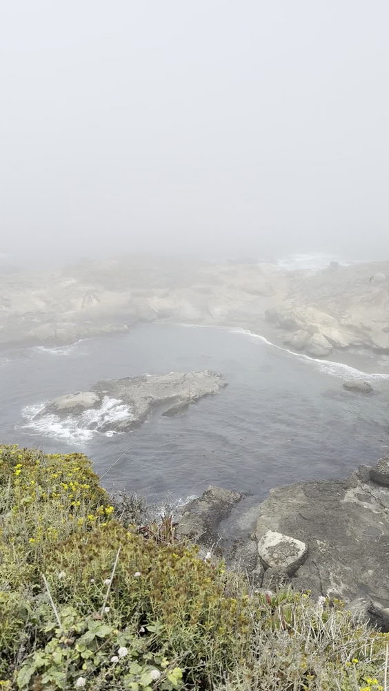 Point Lobos State Reserve