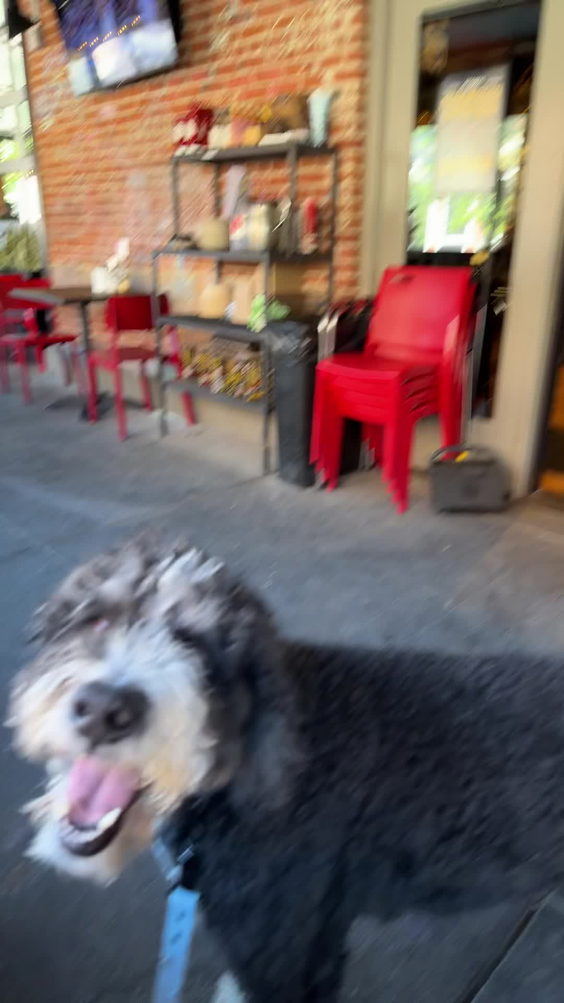 Denver Biscuit Company (Golden)