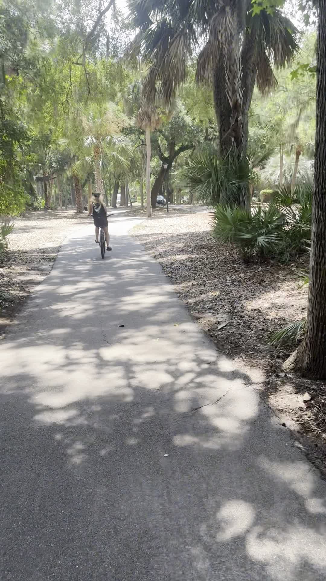 Hilton Hilton Head Island Beachfront