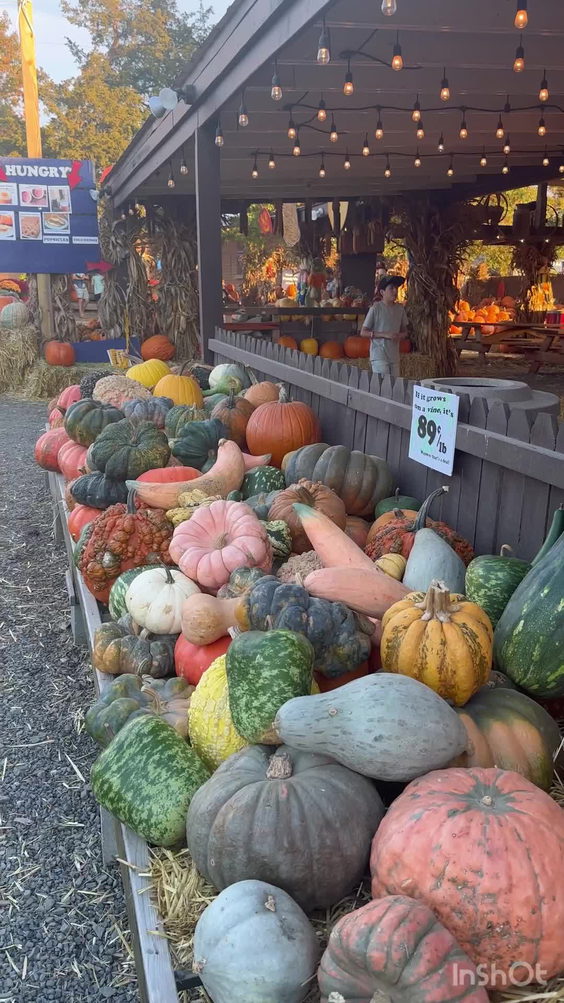 Cox Farms