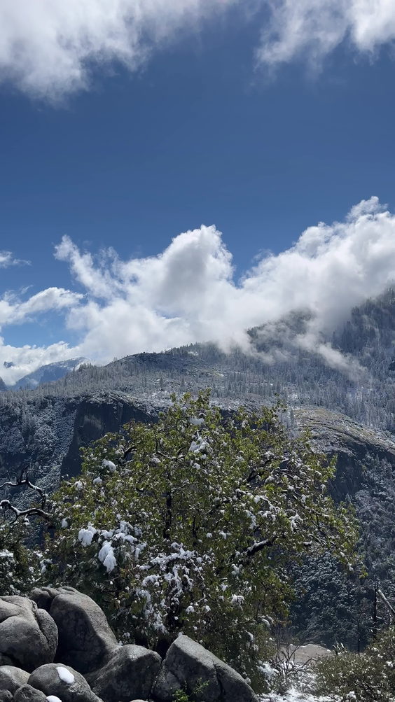 Yosemite National Park