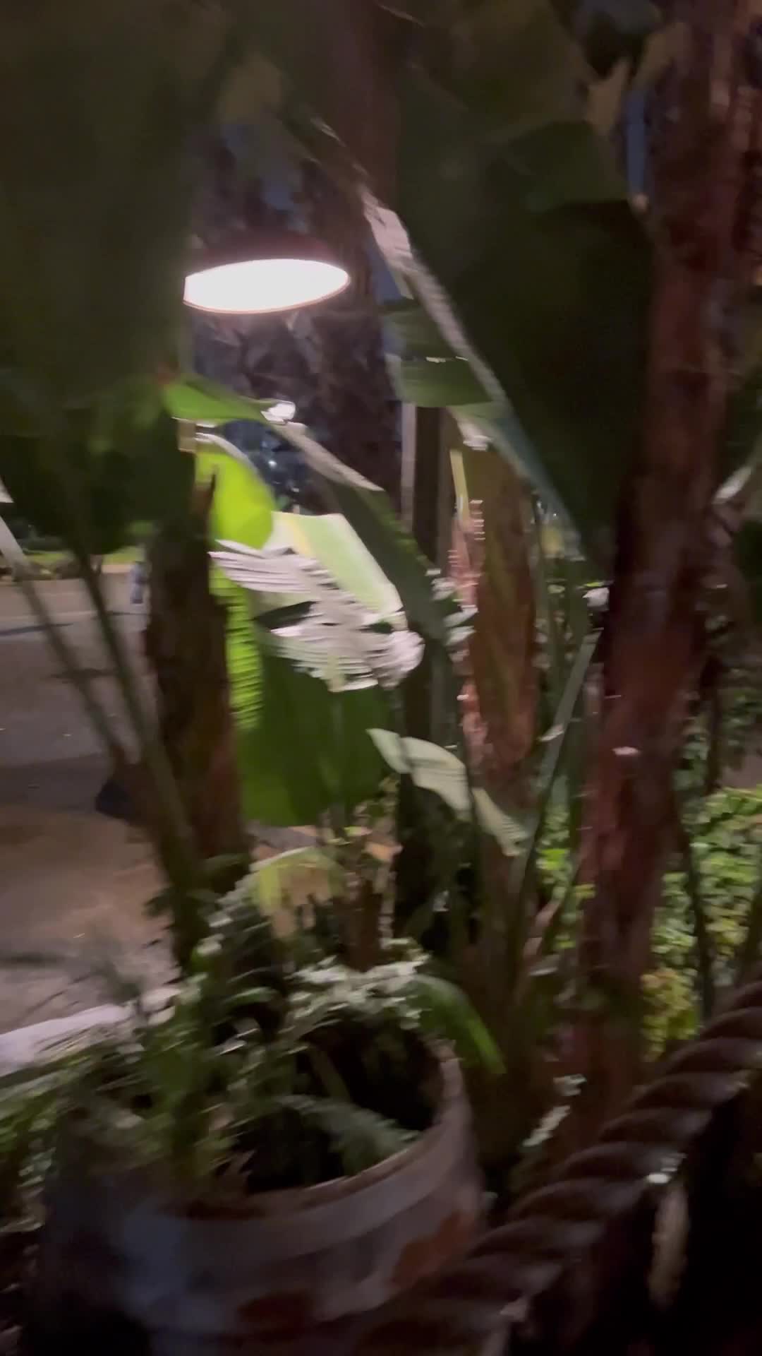 The Warehouse Restaurant