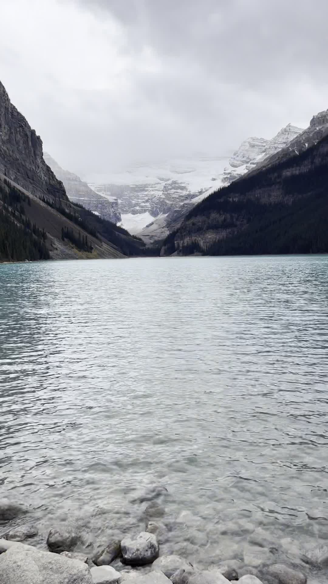 Arbour Lake Lookout