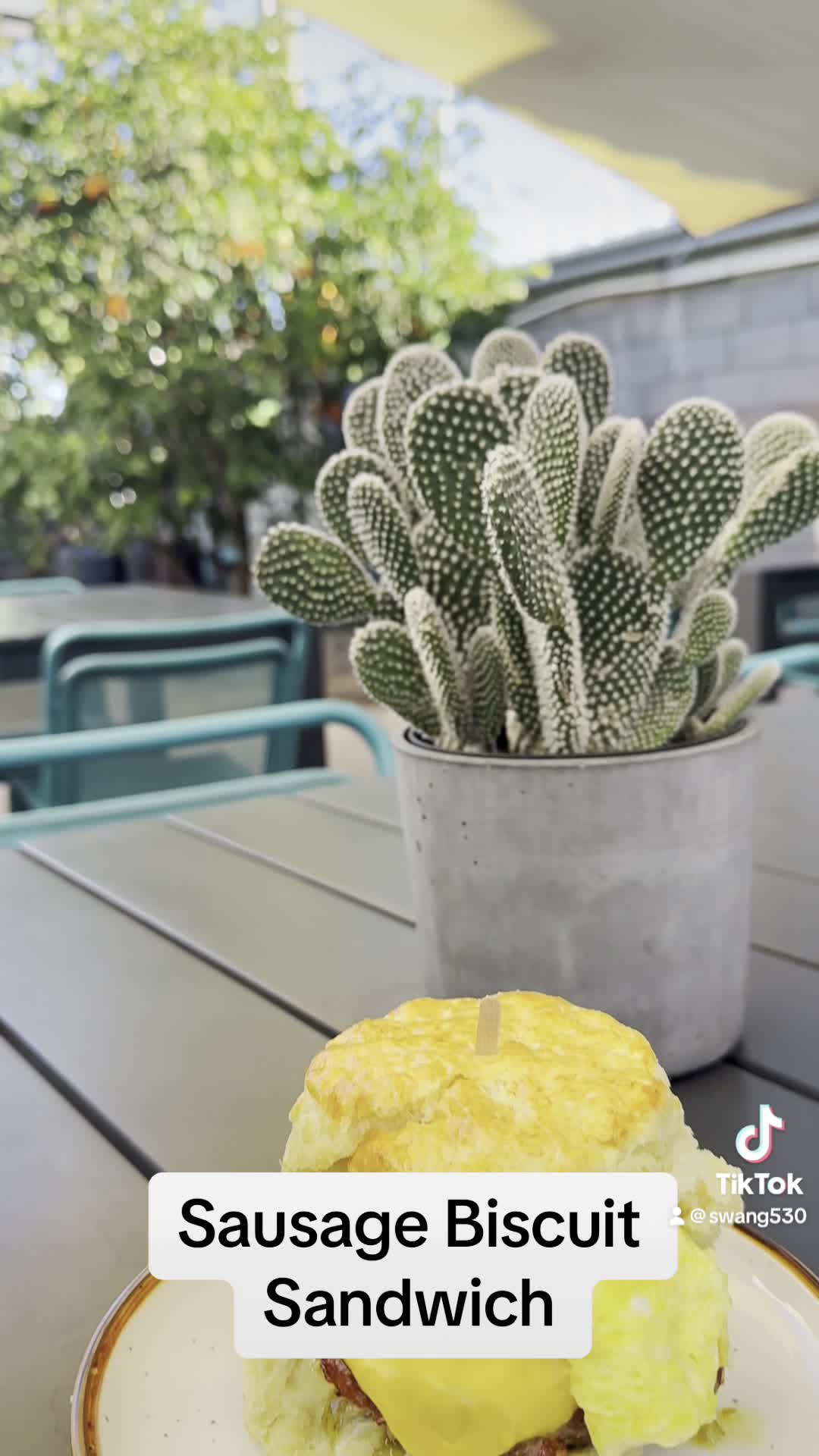 Video review of Ollie Vaughn's