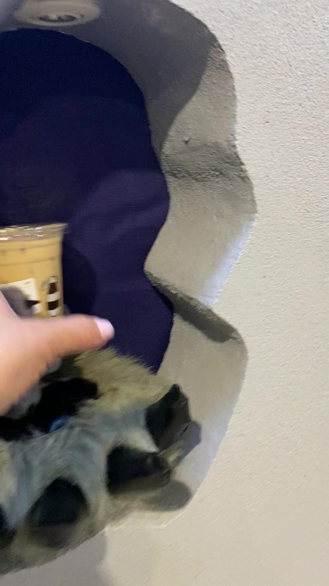 Video review of Raccoon Cave