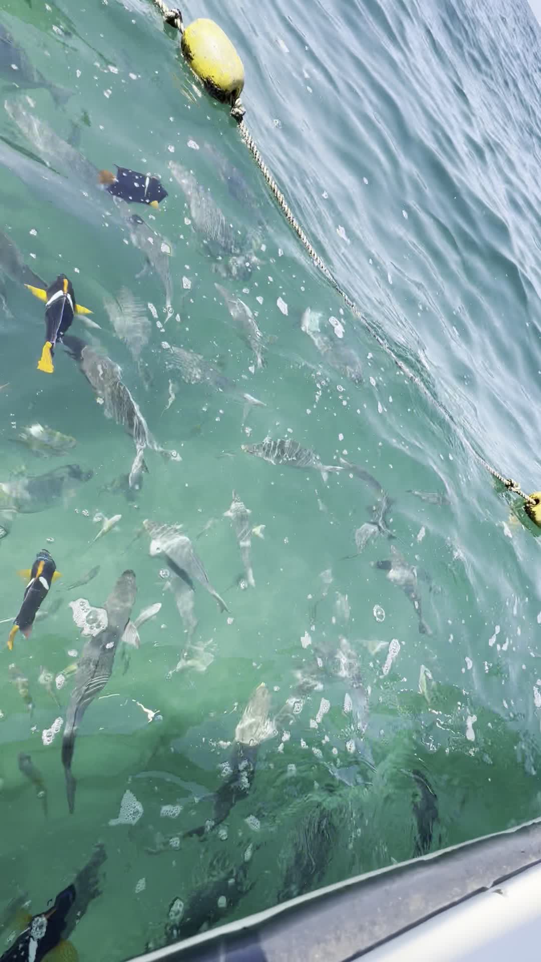 Los Arcos Parque Nacional Marino