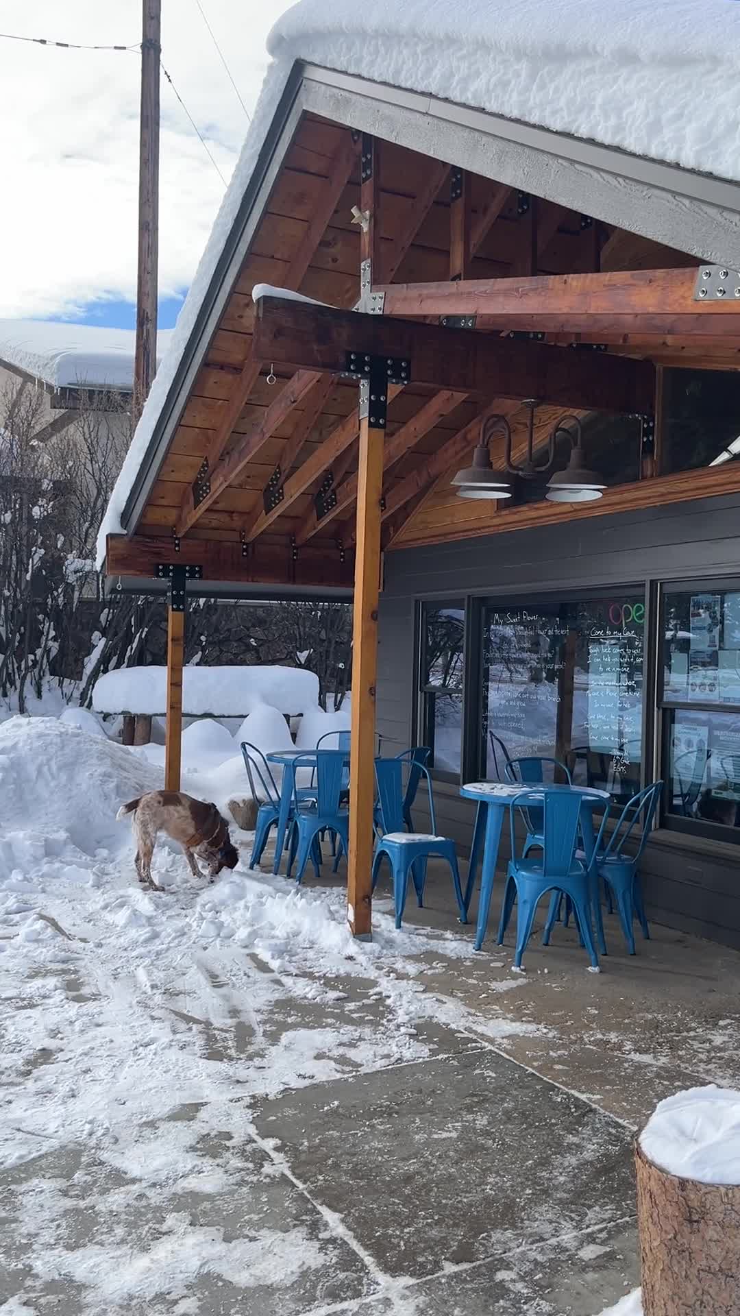 Moon Frog Coffee Shop & Roaster