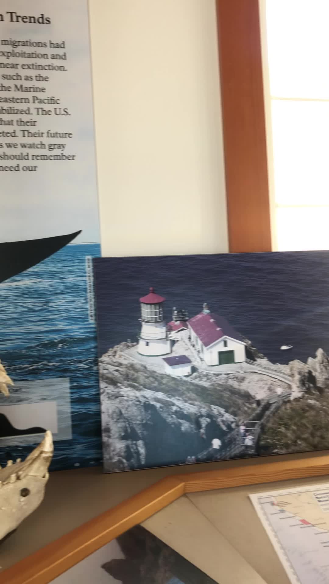 Point Reyes Lighthouse