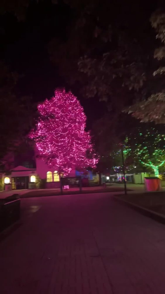 Toledo Zoo Aquarium