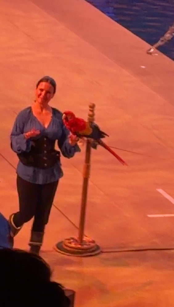 Pirates Voyage Dinner & Show