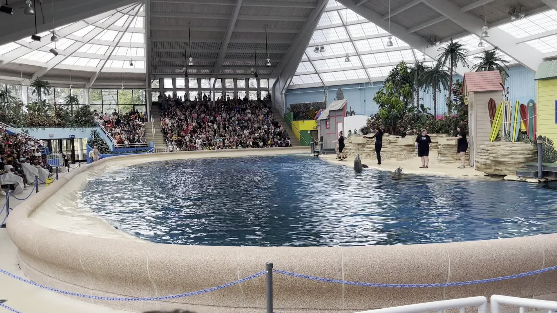 Shedd Aquarium Ticket Line