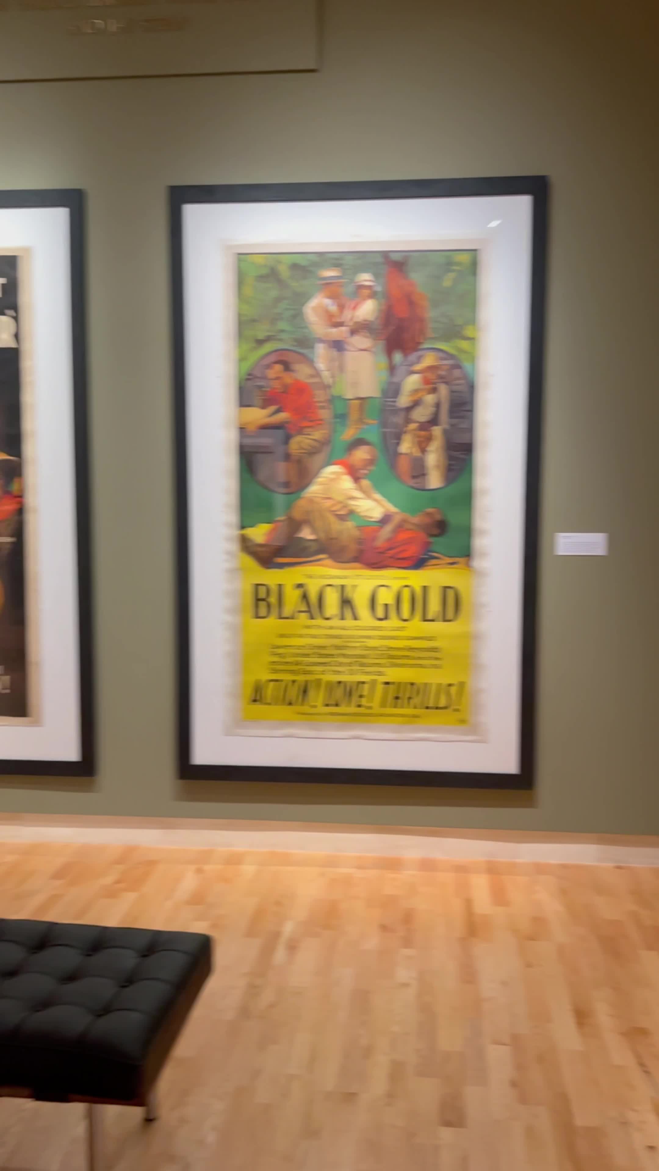 Cummer Museum of Art and Gardens