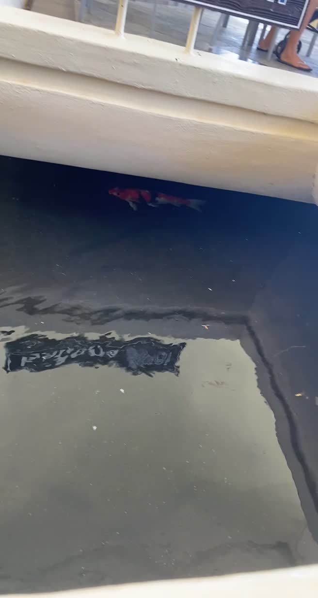 Video review of Hyatt Regency Maui Resort And Spa