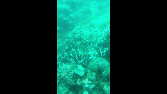 Cairns