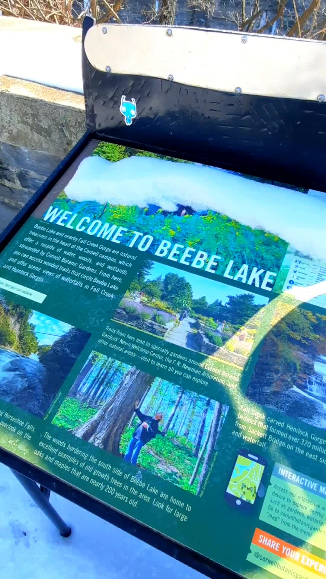 Beebe Lake