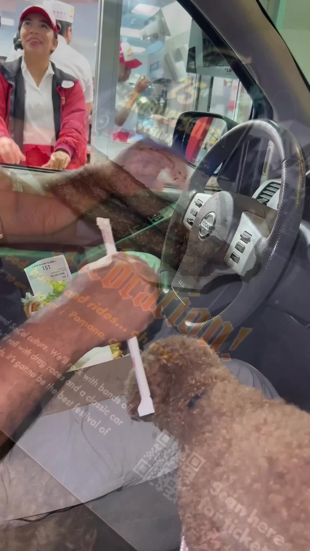 Video review of In-N-Out Burger