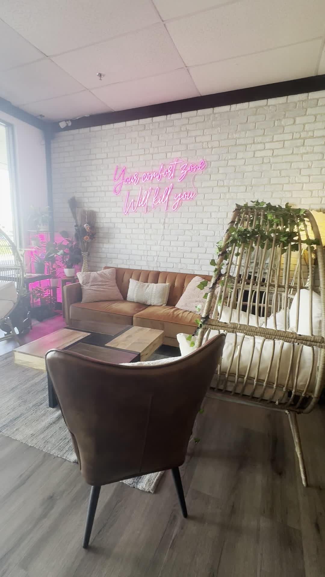 Kava Culture Kava Bar