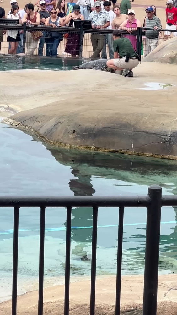 Kovler Seal Pool